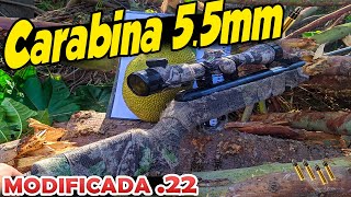 Carabina de pressão 55mm modificada pra munição 22lr Cano fixo [upl. by Aeikan931]