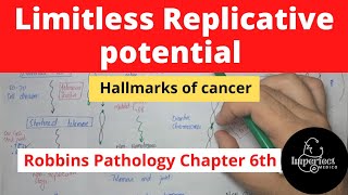 Limitless Replicative Potential Immortality Hallmark of Cancer pathology neoplasia mbbslectures [upl. by Peers131]