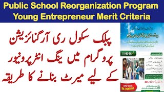 Young entrepreneur psrp pefsis merit evaluation calculation  public School Reorganization Program [upl. by Neddie805]