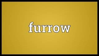 Furrow Meaning [upl. by Westleigh731]