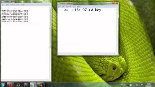 Fifa 07 Cd Key [upl. by Lebna]