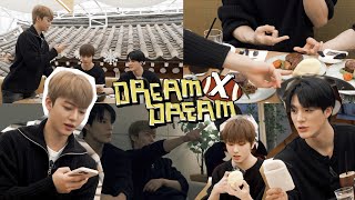 🐶🐰🐹트리플 제이의 일일 시즈니 체험💚 EP1  드림 바이 드림  DREAM x DREAM [upl. by Tdnaltroc]