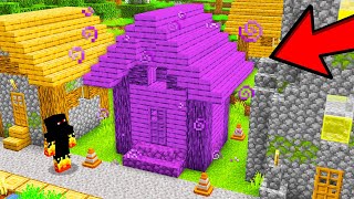 Transformei Casas em Poções no Minecraft [upl. by Jahdai]