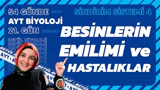 21 Besinlerin Emilimi ve Hastalıklar  Sindirim Sistemi  11 Sınıf  AYT Biyoloji Kampı 21 Gün [upl. by Paxon]