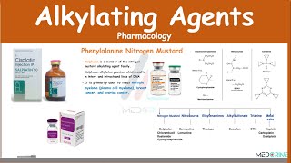 Alkylating Agents Pharmacology Examples MOA Adverse Effects [upl. by Treboh]