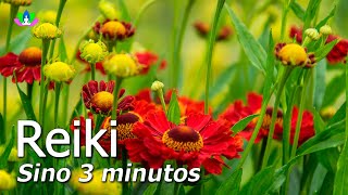 Reiki 3 minutos com Sino Limpa as Energias Negativas Equilibra os Chakras e a Aura [upl. by Naeloj385]