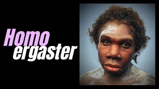 HOMO ERGASTER  African Homo erectus  with DR KAREN BAAB [upl. by Anemolif]