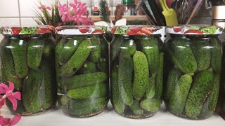 ZIMNICA  kiseli krastavčići očas posla ❕🫙 🥒 [upl. by Itoyj763]