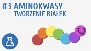 Aminokwasy tworzenie białek 3  Biologiczne związki organiczne [upl. by Longmire]