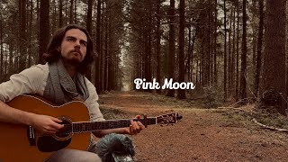 Pink Moon  Nick Drake Cover [upl. by Quiteris]