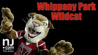 Mascot Challenge Whippany Park Wildcat [upl. by Montana]