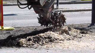 Stubbfräs  stump cutter on a Volvo ECR88 excavator [upl. by Niessuh171]