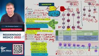 Reumatología  Ciencias Básicas Sistema Inmunitario ENAMENARMSERUMS [upl. by Aia]