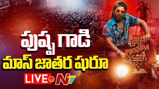 Fans Celebrations LIVE  Pushpa 2 Premiere Show Review  Ntv [upl. by Helli]