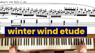 Chopin quotWinter Windquot Etude chopin classicalpiano classicalmusic [upl. by Aihsaei]