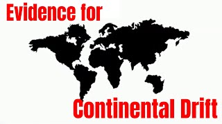 Evidence for Continental Drift [upl. by Uaeb14]