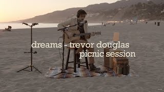 Dreams by Fleetwood Mac  Trevor Douglas  Picnic Sessions [upl. by Grazia598]