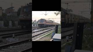 12191 Hazrat Nizamuddin Jabalpur Shridham Express with BSL WAP 4 shorts [upl. by Atteuqaj444]