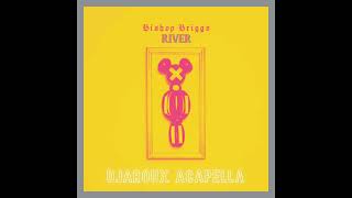 Bishop Briggs  River DJAROUX DIY Acapella [upl. by Oirretna738]