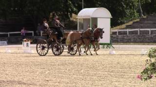 CAI Lipica 2014 Dressur Johann Weitlaner [upl. by Ahsiuqram]