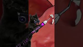 ASMRCleanOral stonesstomatitis tongue needles tonsillitis treatment animation asmr [upl. by Sabian]