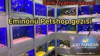 İstanbul Eminönü Akvaryumcular çarşısı Petshop gezisi ve Akvaryum balık fiyatları [upl. by Egroej713]