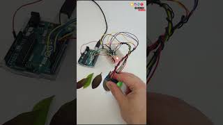 detecting leaf color  science project [upl. by Glenden]