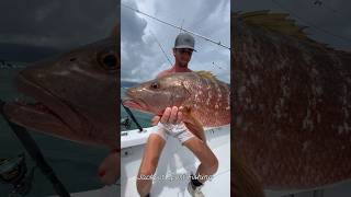 Cubera Snapper Costa Rica [upl. by Arlette989]