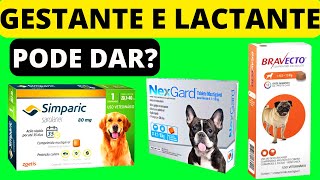 SIMPARIC NEXGARD E BRAVECTO pode dar CADELAS PRENHES E LACTANTE [upl. by Hakym]