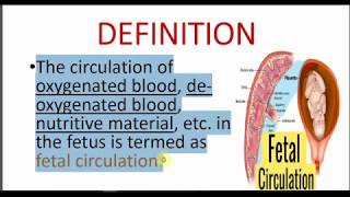 FETAL CIRCULATION  FETOPLACENTAL CIRCULATION [upl. by Eveneg]