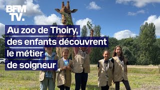 Des enfants se mettent dans la peau dun soigneur du zoo de Thoiry [upl. by Kalfas]