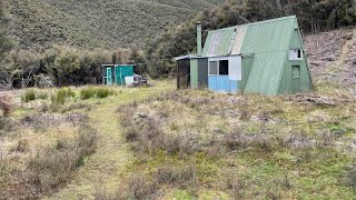 Sika Deer Roar  Part 1  Hunting New Zealand [upl. by Atiuqer102]