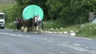 Appleby Horse Fair  Kirky Bank Part 2 [upl. by Llovera]