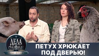 Дела судебные с Еленой Кутьиной Новые истории Эфир от 281024 [upl. by Ydnil]