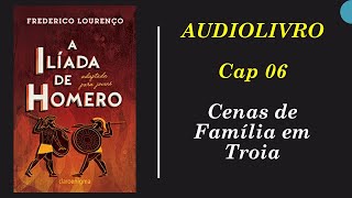 A ILÍADA para jovens  CAP 06 – CENAS DE FAMÍLIA EM TRÓIA  audiobook audiolivro  Voz Humana [upl. by Thea472]