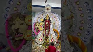 Natun PallyKrishnanagar krishnanagar shorts viralvideo jagadhatripuja2024 [upl. by Anchie]