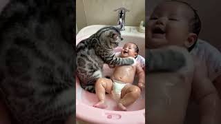 Funny Cat Mind Voice funny cat catvideos comedy shortsfeed shorts funnyanimal animals [upl. by Indira]