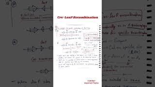 CreLoxP Recombination  Important topics of CSIR NET csirnet [upl. by Cressy504]