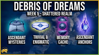 Shattered Realm Debris of Dreams  Ascendant Trivial Enigmatic Mysteries Data Caches  Destiny 2 [upl. by Boucher]