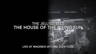 quotThe House Of The Rising Sunquot The Animals cover by The Jellied Eels [upl. by Ennaer]