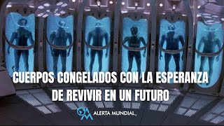 CUERPOS CONGELADOS con la esperanza de REVIVIR en un futuro 🧍🏼🧊 [upl. by Jaddo]