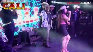 FLOR HERMOSA EL HUIZACHE TIERRA CALI FEAT VIRY SANDOVAL LA REYNA DE TIERRA CALIENTE EN VIVO [upl. by Sillig]