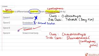 Teleost fish is differentiated externally from elasmobranch fish by [upl. by Glarum]