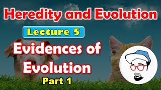 Evidences of Evolution Part1  Heredity and Evolution Class 10 SSC CBSE [upl. by Edson680]