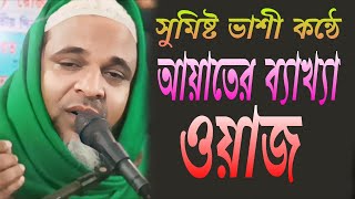 সুমিষ্ট ভাশী কন্ঠে আয়াতের ব্যাখ্যা ওয়াজ ক্বারী তৈয়ব আলী সাহেব [upl. by Nylahs]