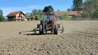 SJETVA KUKURUZE NA BILOGORI 2024 fiatagri8090dt fiatagri bogiseljak [upl. by Eixirt555]