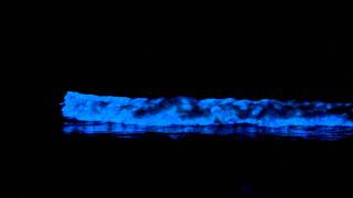 Red Tide Causes Bioluminescent Ocean [upl. by Yllac802]