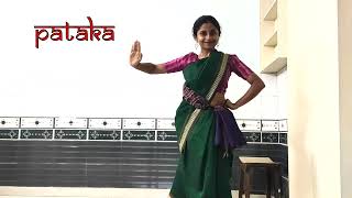 Lesson 1 Odissi Dance Basics  Prerequisites  Tulika Tripathy odissi dance tutorial [upl. by Eekram430]