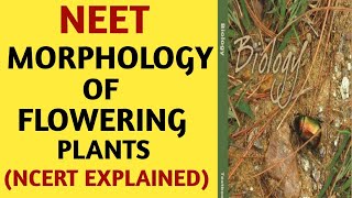 NCERTChapter 5Morphology of Flowering PlantsClass 11Quick Revision SeriesNEETAIIMSBiology [upl. by Hasile]