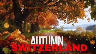 Walking In Arbon Romanshorn Switzerland Nature Sheds its Leaves To Find Life Again Autumn Leaves [upl. by Secor]